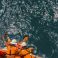 Marine crews of a pipelay barge performing man overboard emergen